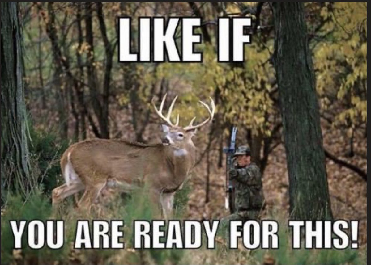 ladderstands's tweet photo. Like!👍🏽❤️✅
#deerhunting #boysoffall #huntingseason #bigbucks #bucksanddoes #deerstandlife #bowhunting #deertags #deermeat #popeandyoung https://t.co/2isCsI4pDy