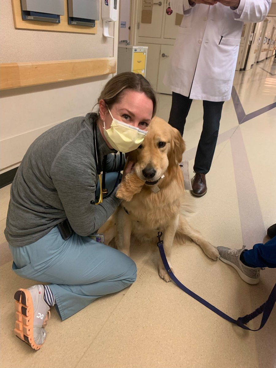 Michigan Cardiology (@umichcardiology) on Twitter photo STAT 📟: come quick! 💕are melting @ the UH!!! I think Dr Tigges <a href="/atigges1/">Averie Tigges</a> has found the culprit — none other than Bugle!! One of our #pawsforpatients therapy dogs 💛🐶💙 STAT 📟: come quick! 💕are melting @ the UH!!! I think Dr Tigges <a href="/atigges1/">Averie Tigges</a> has found the culprit — none other than Bugle!! One of our #pawsforpatients therapy dogs 💛🐶💙