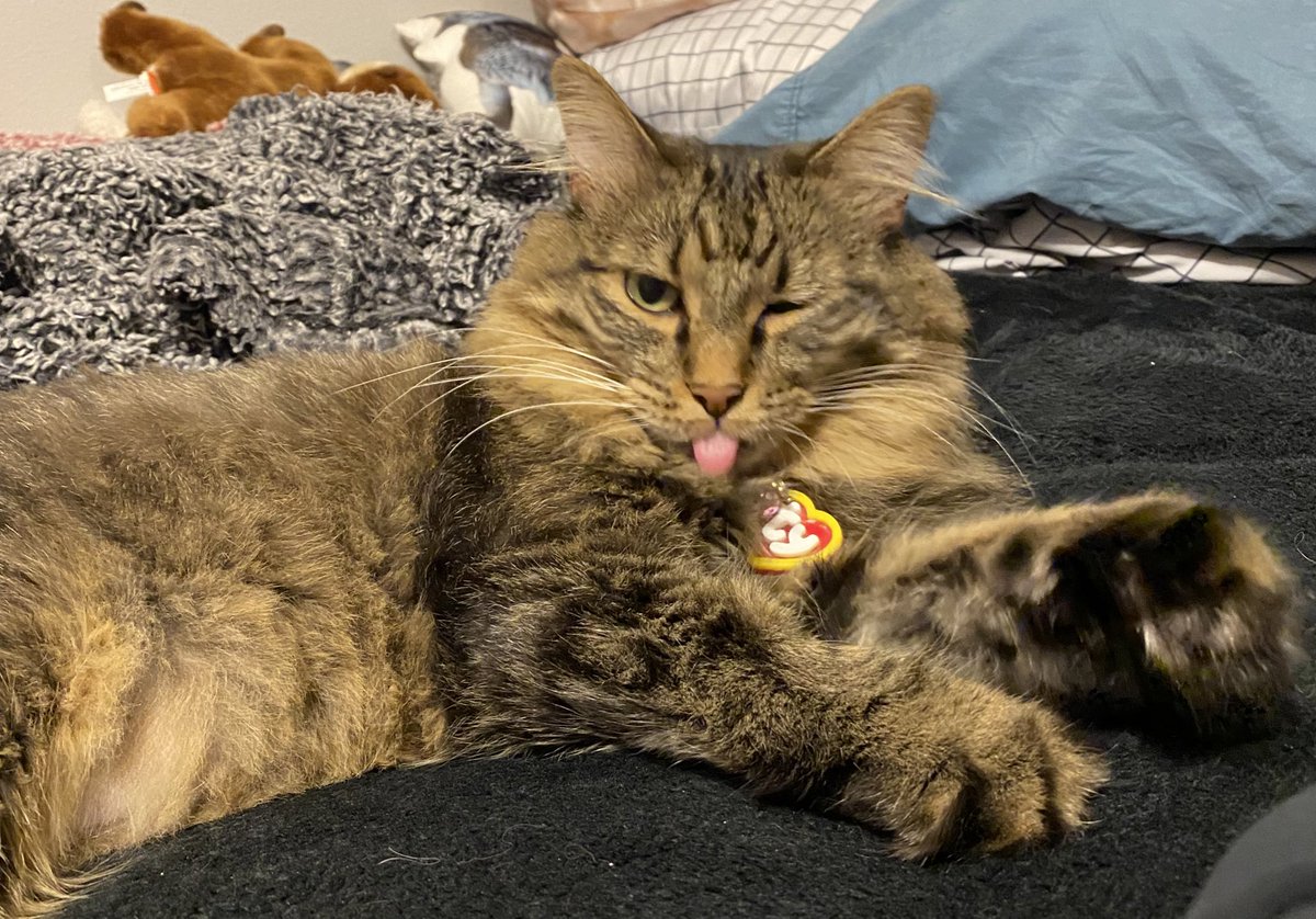 da smoochers tweet media