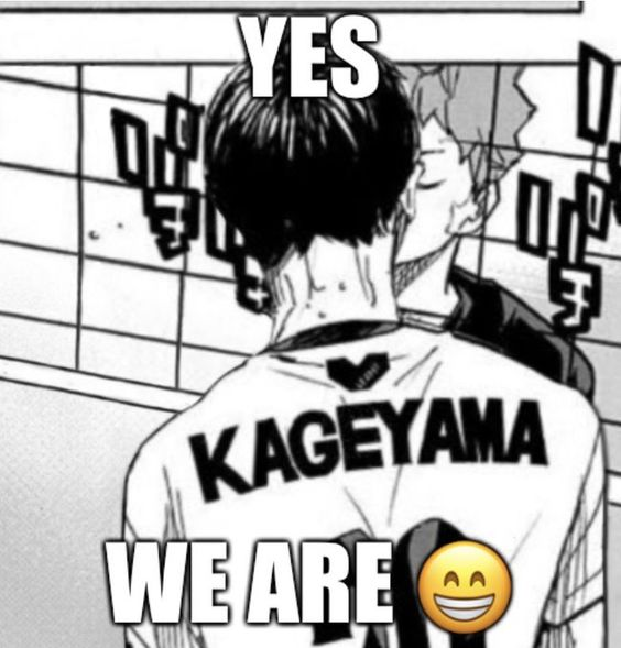 daily kagehina 💭 (REST) (@shobiodaily) on Twitter photo 