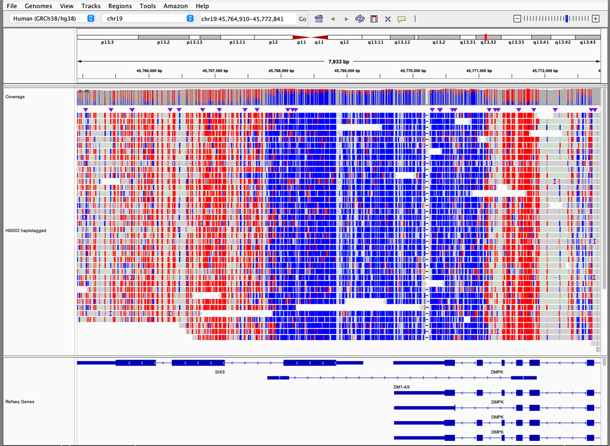 IGV Team tweet media