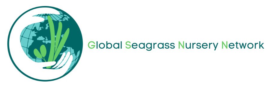 Seagrass nurseries, as essential as terrestrial nurseries. Our workshop @ISBW14 introduced the Global Seagrass Nursery Network and handbook. Thanks to all participants and supporters!@CQUniCMERC @DrCraigSherman @LauraLGovers @ProjectSeagrass @earthelise @GBRFoundation #GSNN