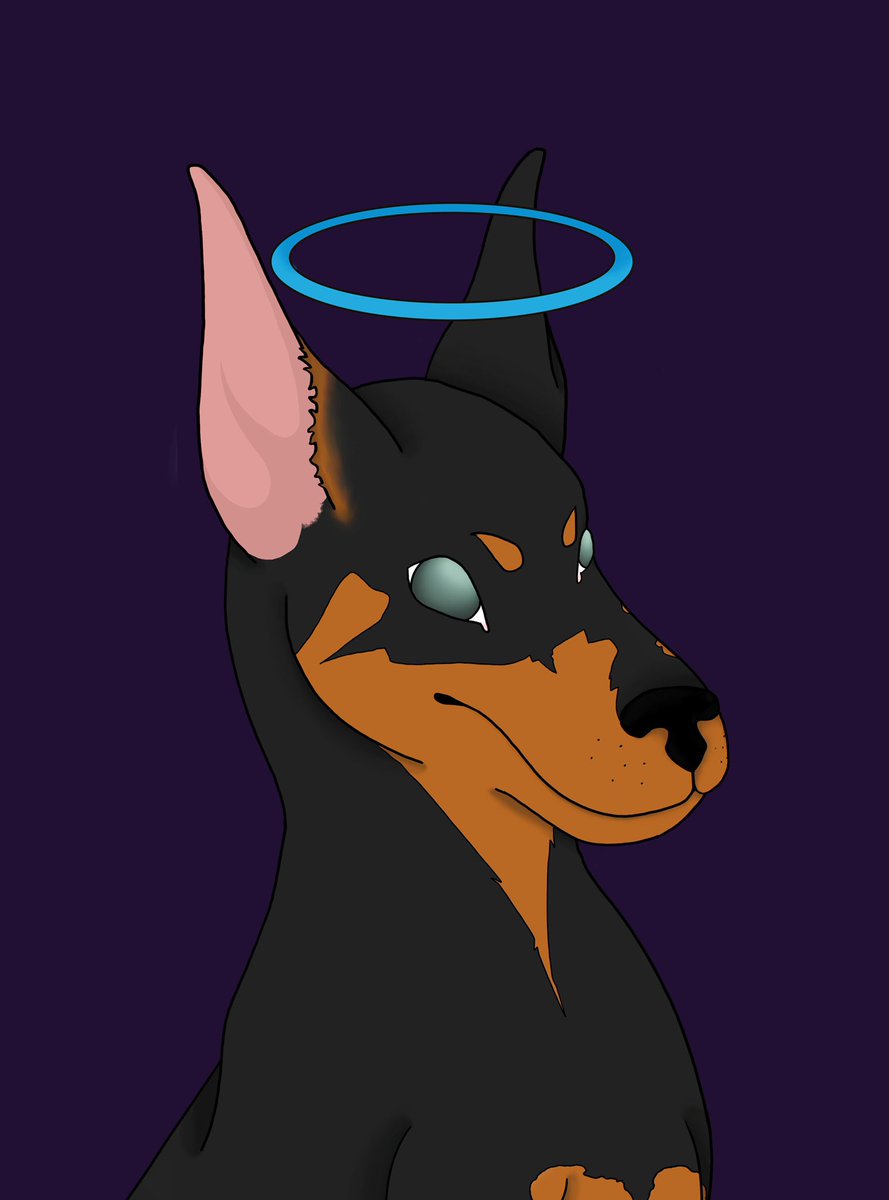 Doberman Academy tweet media