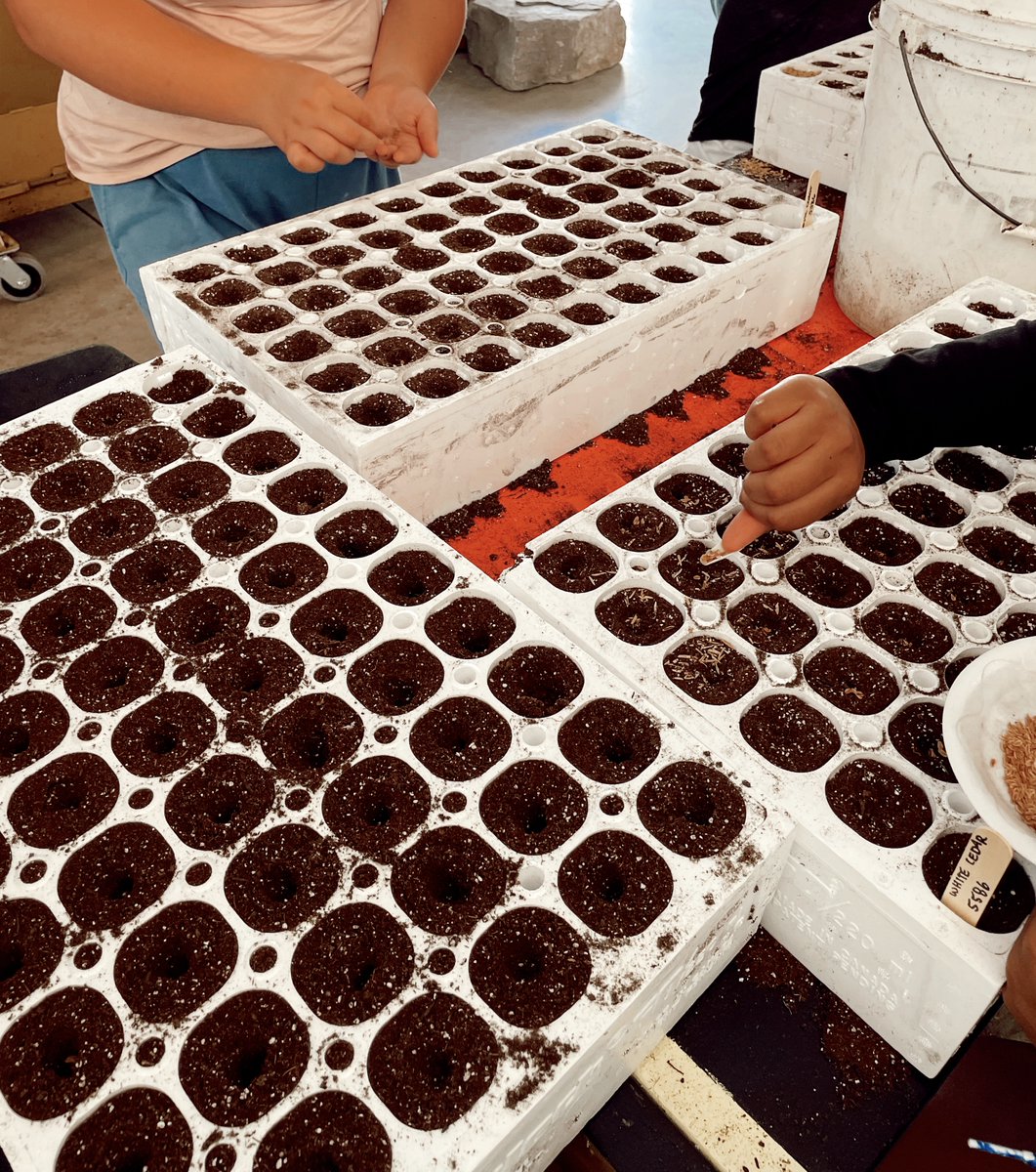 We are thrilled to have the opportunity to work alongside Ontario Parks, YOU, Humana Community Services and Fanshawe College. 

60 trees a tray and we have THOUSANDS of them!