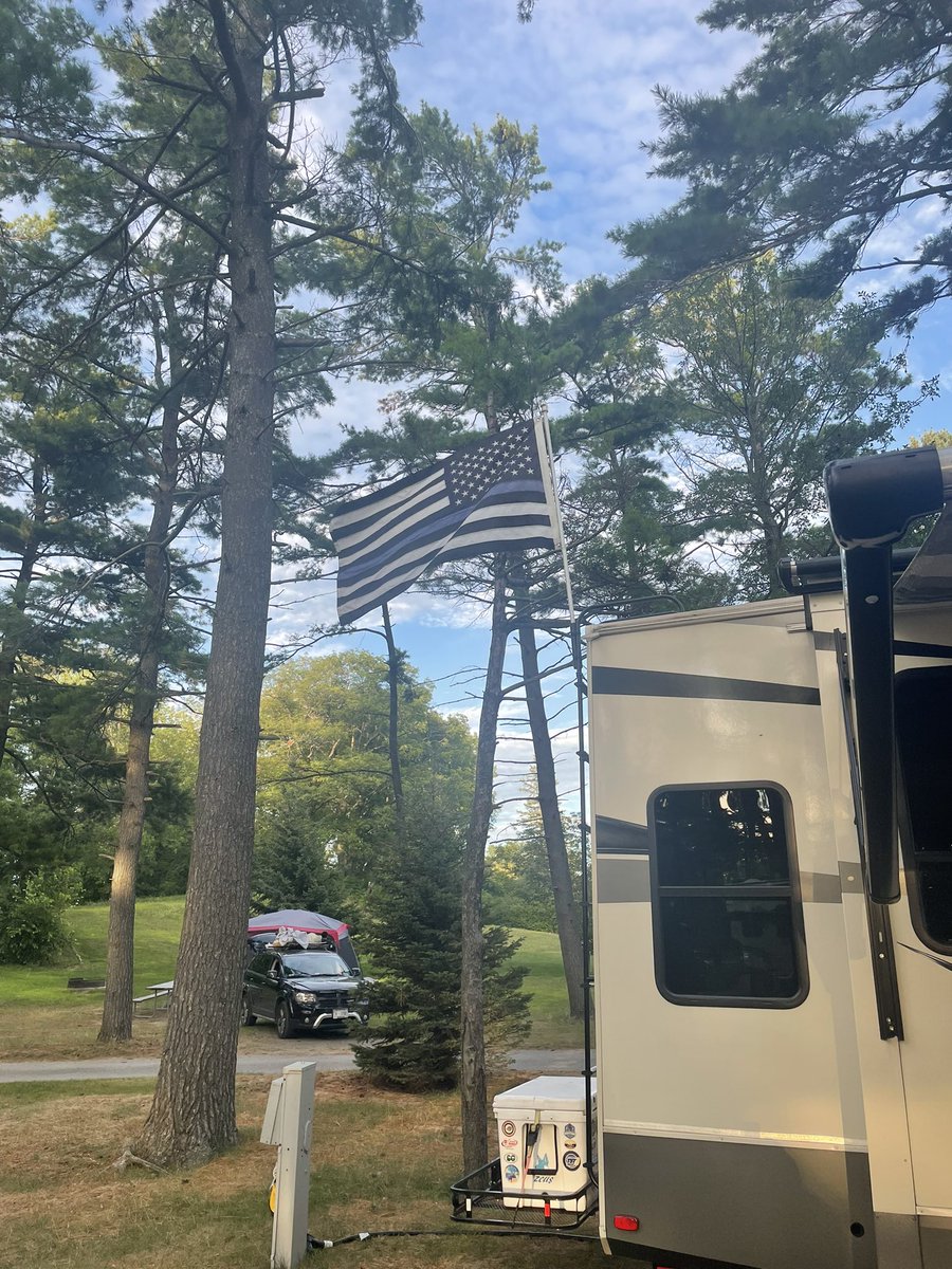 K9 Zeus & Mike (@bmbdog) on Twitter photo 