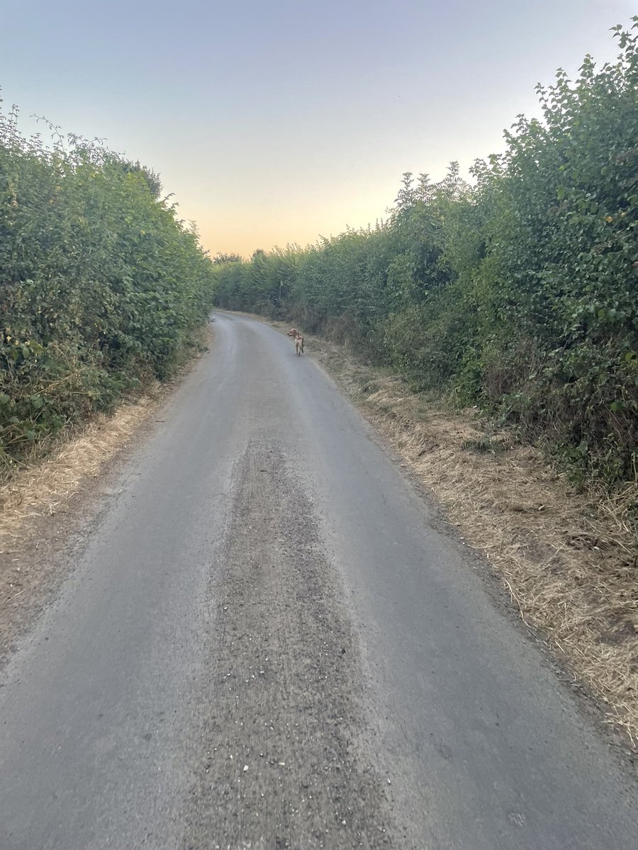 Victoria Shepherdson tweet media