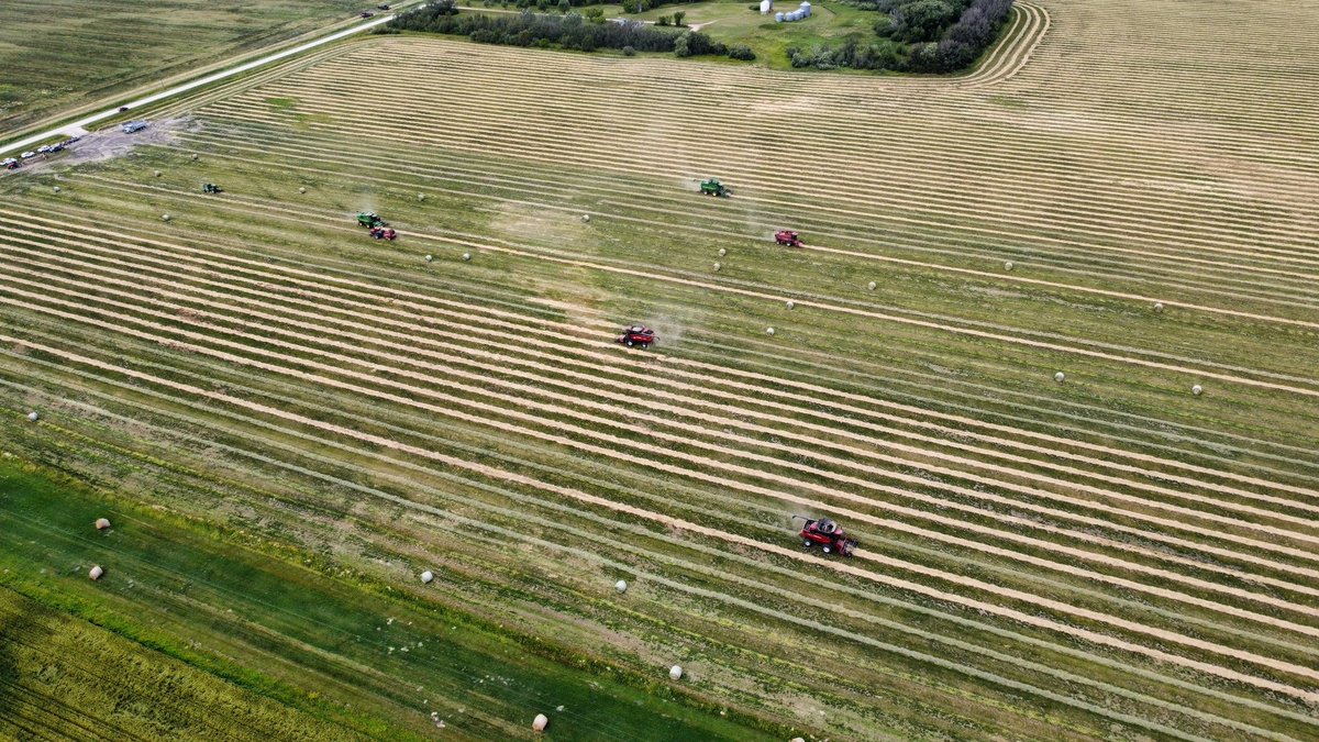 philip_buhler's tweet photo. #harvest22 has started and we are combine the @Foodgrains local project of #prg contracted through @BrettYoungSeeds https://t.co/OAdLoLYM4Z