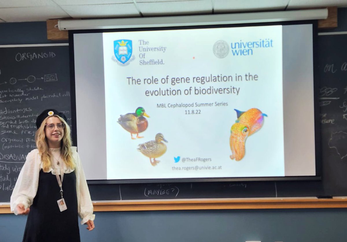 Thea Rogers 👩🏼‍🔬 tweet media