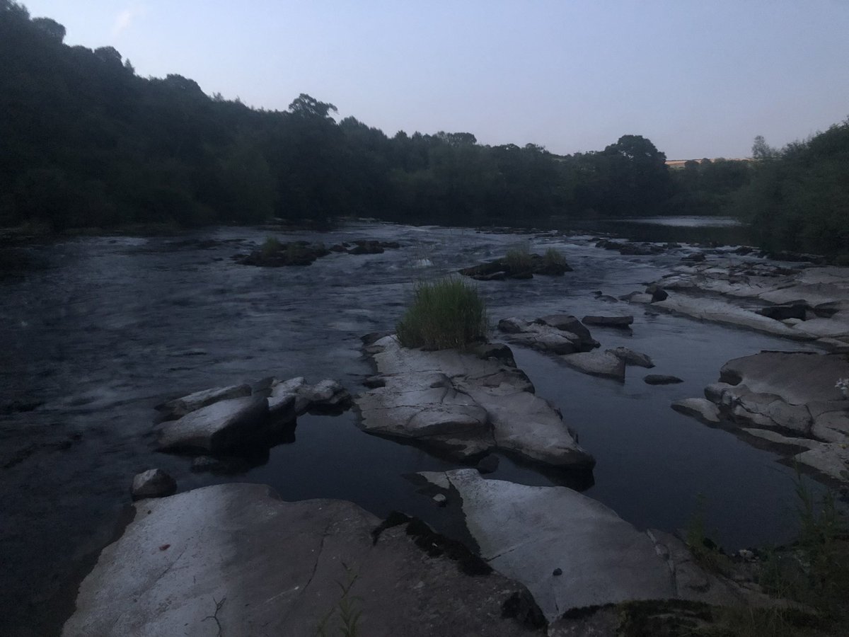 EdenSwimmer's tweet photo. #wildswimming at dusk after checking the Longhorn cattle.
Water temperature 19.1Β°C, in 21mins #farm24 #swim24 https://t.co/r9RYwoCSqr