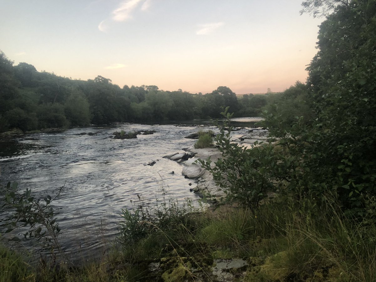 EdenSwimmer's tweet photo. #wildswimming at dusk after checking the Longhorn cattle.
Water temperature 19.1Β°C, in 21mins #farm24 #swim24 https://t.co/r9RYwoCSqr
