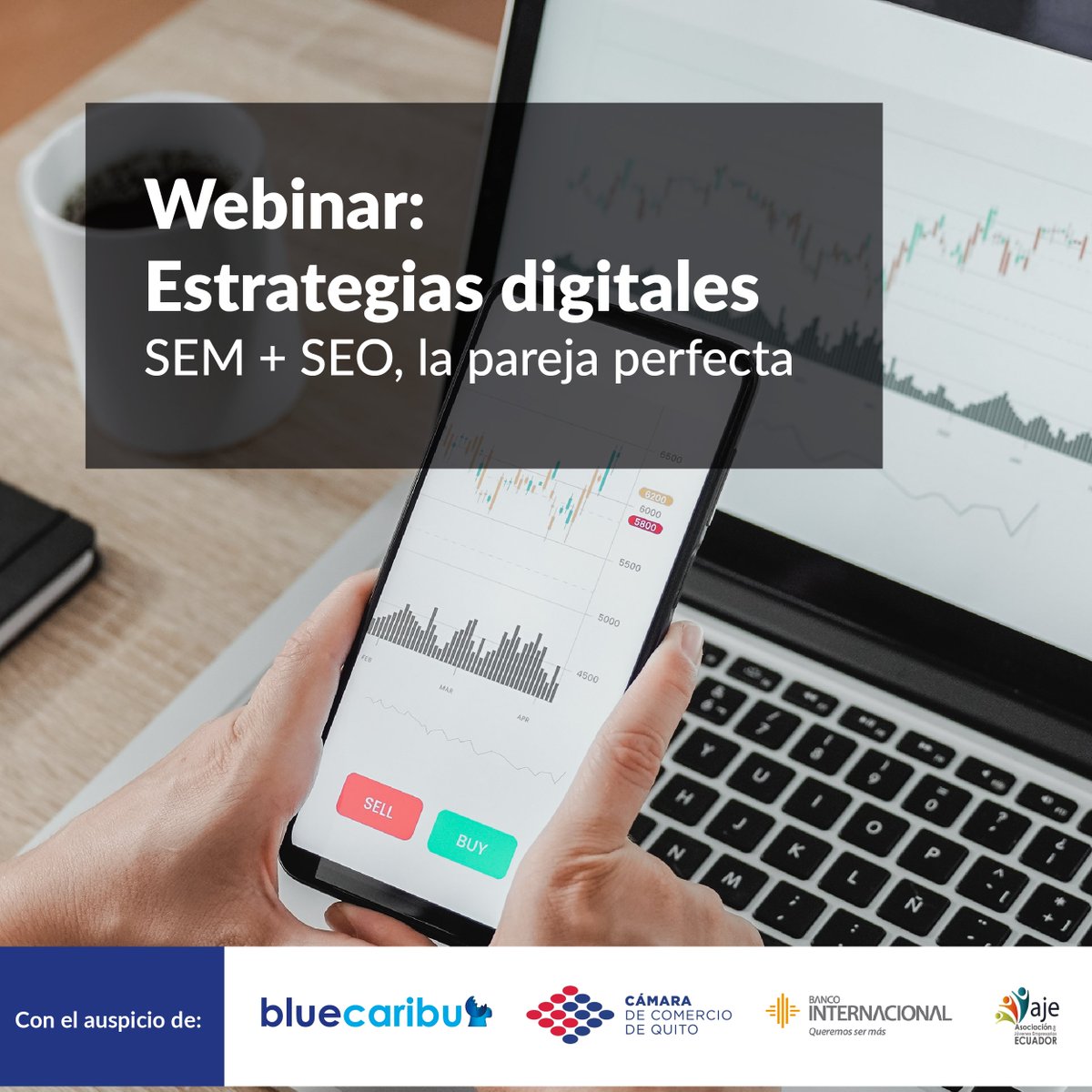 BlueCaribu tweet media