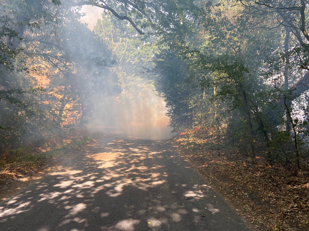 RealNeilFenwick's tweet photo. An exceptionally busy day in #Essex for our amazing #Control #Oncall #Wholetime #support at #ECFRS and #responding  to every #call for help. Major fires in #Harlow #Bentley #Grays #Southend #Canvey #wickhambishops Remember our #safety #advice #firefreefun thank the #fireservice https://t.co/vihMNrWWjy