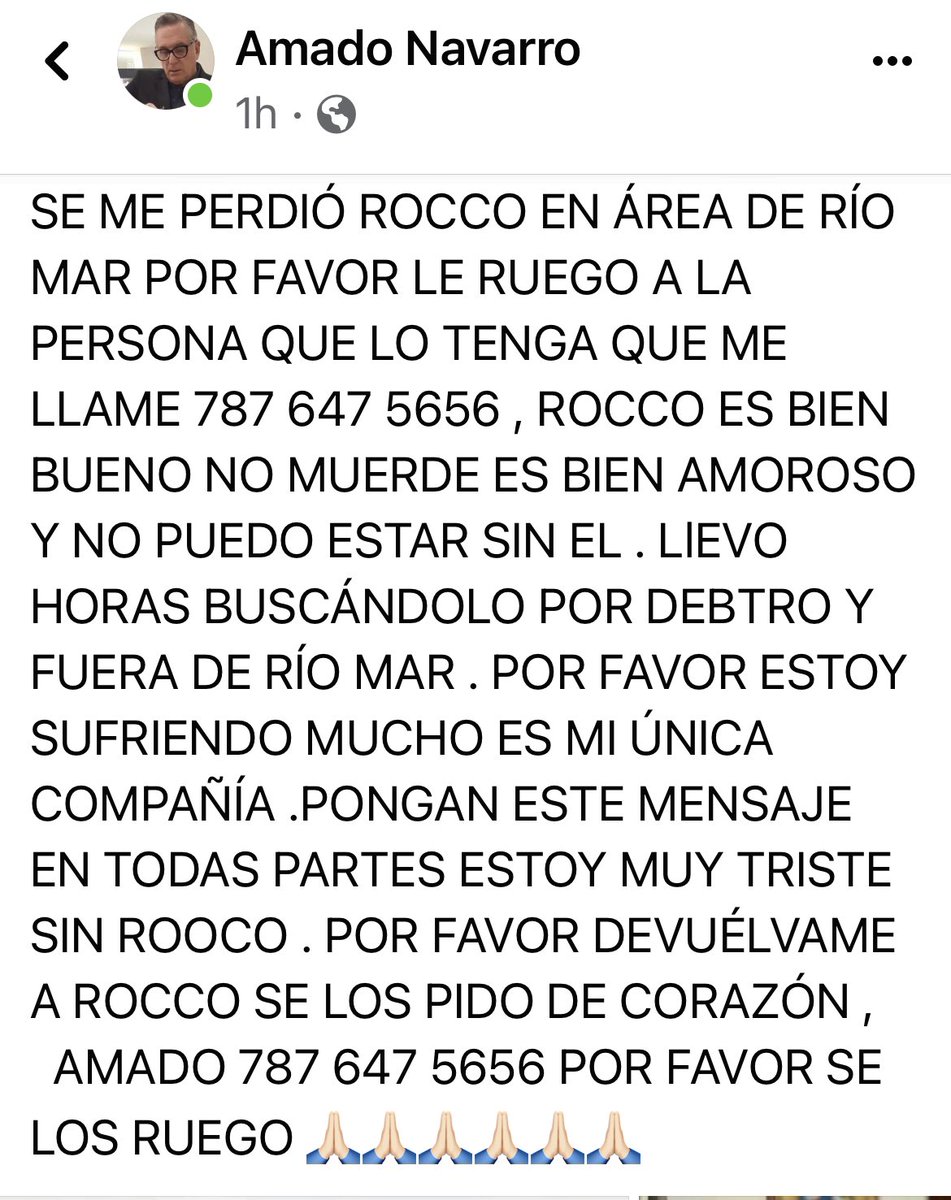 ivettesosaT2's tweet photo. El perro de mi amigo, el estilista Amado Navarro está perdido. Si usted lo ha visto por el area de Río Mar, comuníquese al número de su dueño. 👇🏽👇🏽👇🏽 https://t.co/uJdpKi8Vfl