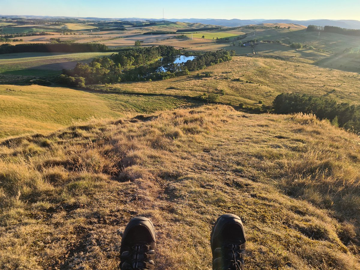 palikeva's tweet photo. It's heathertime! The hills where lovely (and purple) this evening - I xould feel the stress peel away...
#ScottishBorders #Eildons #Eildonhill #heather #summer #Wellbeing https://t.co/zue7bV4w7m