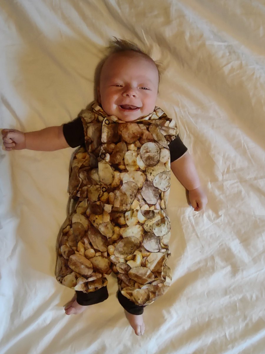 ElinMoor's tweet photo. @JanCaruana My baby loving his summer potato vibe, inspired by @JanCaruana https://t.co/Dp3FzvZ8ld