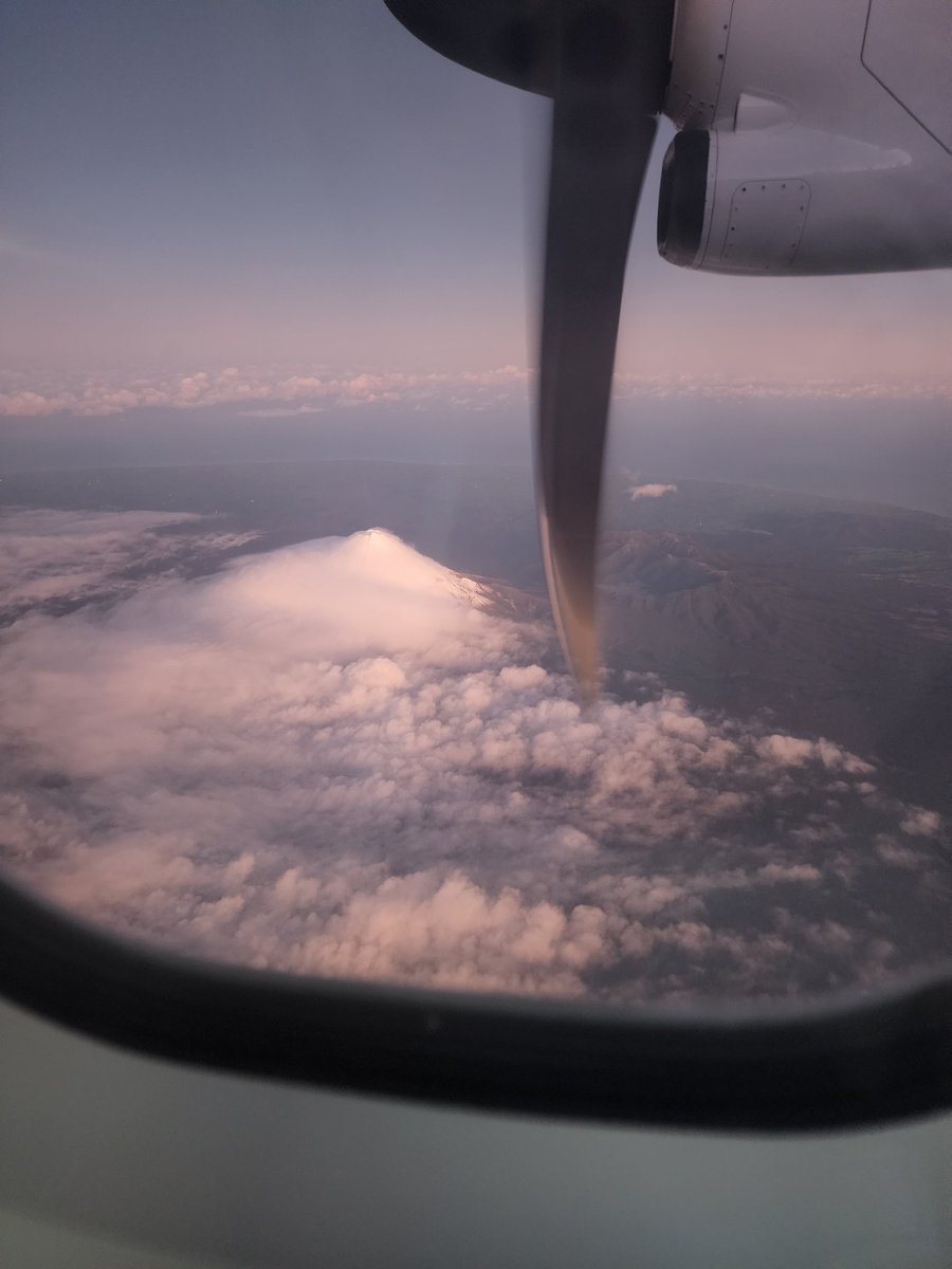 Derek de Stacpoole tweet media