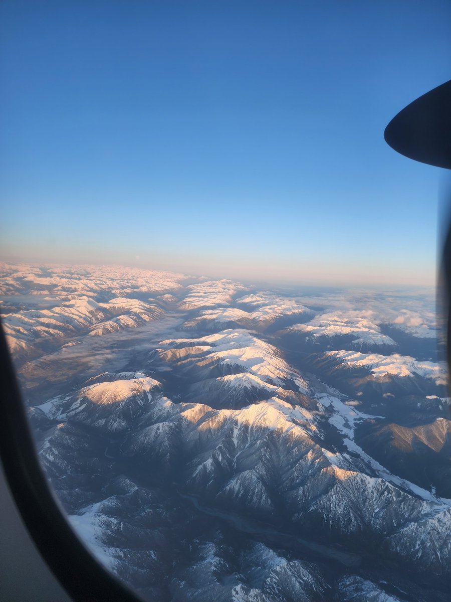 Derek de Stacpoole tweet media