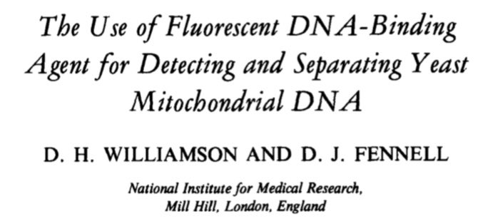 Daniel Fürth tweet media