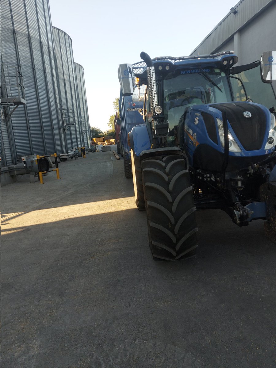 Gangway SB delivered to Outrath,first time to see moistures as low as 10% at 73 bushel and all importantly passing for malting <a href="/DairygoldCo_Op/">Dairygold Co-Op</a> <a href="/Goldcrop/">Goldcrop</a>