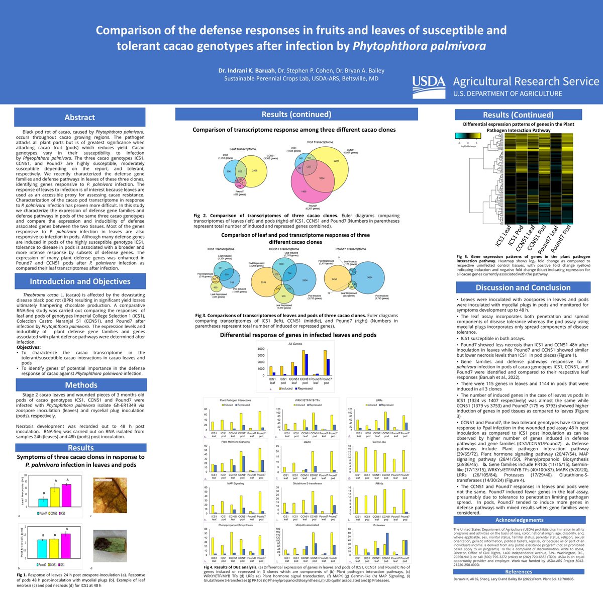 I feel thrilled to see our poster "Comparison of the defense responses in fruits and leaves of susceptible and tolerant cacao genotypes after infection by Phytophthora palmivora" was presented virtually @APSPlantHealth2022 <a href="/plantdisease/">The American Phytopathological Society</a> in Pittsburg