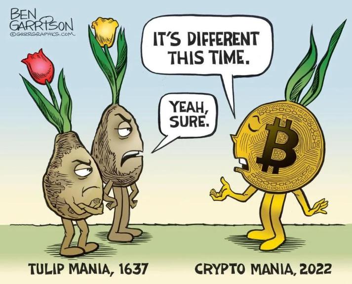 How The Nocoiners See It.