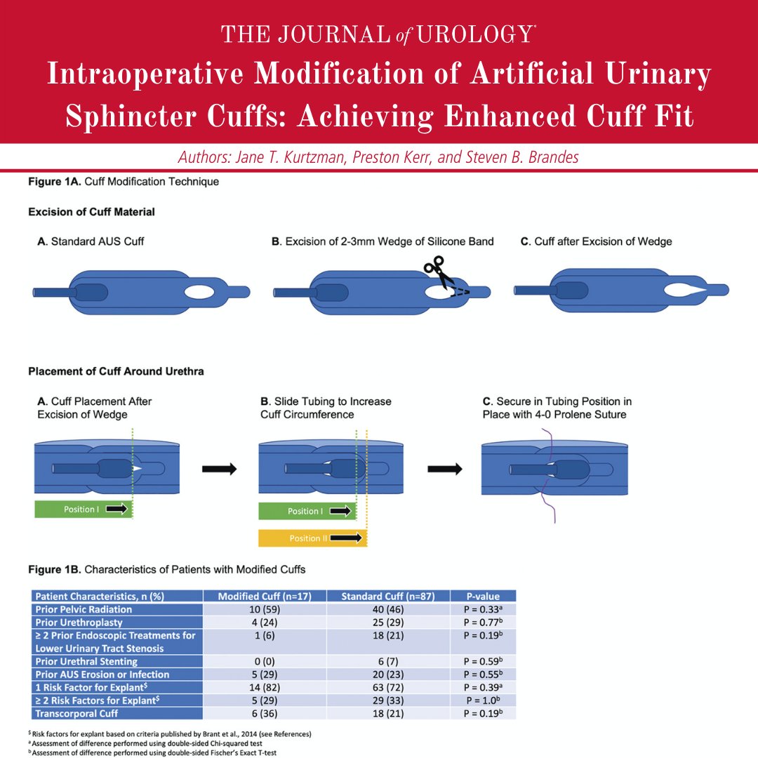 Journal of Urology tweet media