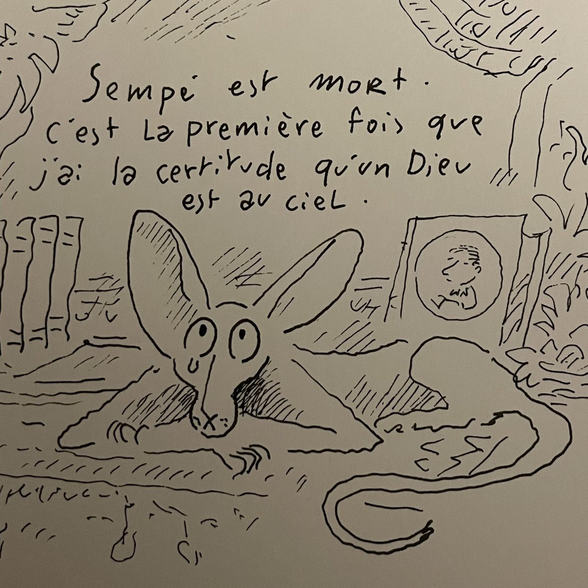 Sfar Joann (@joannsfar) on Twitter photo 