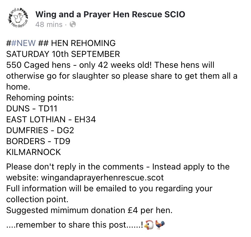 Rehoming: Saturday 10th September Please share! <a href="/theberwickshire/">Berwickshire News</a> <a href="/elcourier/">East Lothian Courier</a> <a href="/DGStandard/">Dumfries Standard</a> #hawick #eastlothian #duns #scottishborders #kilmarnock #henrescue