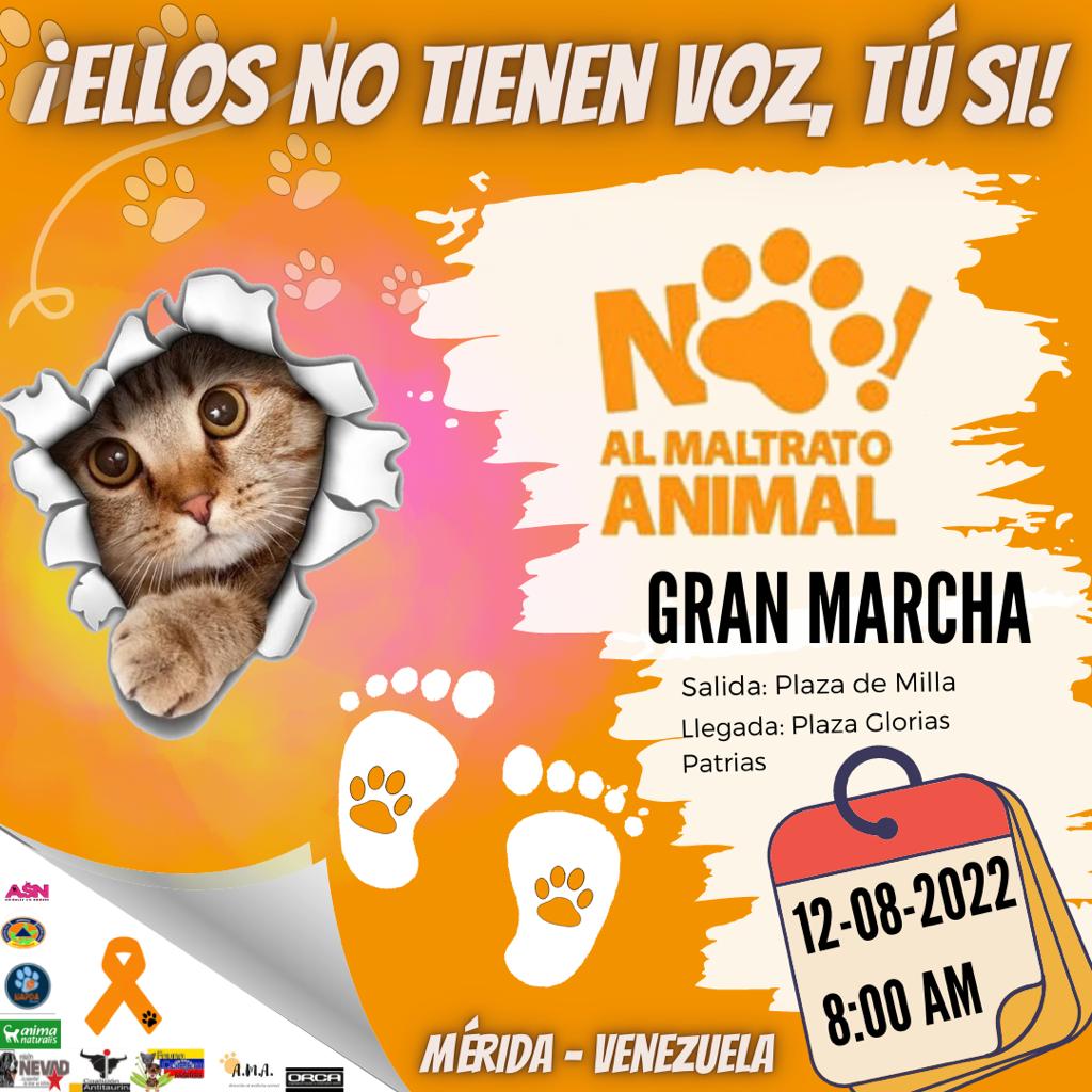 SOSFaunaMerida's tweet photo. Mi Gente de Merida. Mañana diremos todos unidos no al maltrato animal. Si deseas que se reforme la ley acompáñanos.  No más torturas, no más maldad hacia nuestros animales. https://t.co/bO8ahX9C0C
