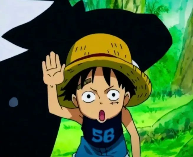 Respondendo a @foxyreyxxy anime:one piece luffy não consegui aceitar g