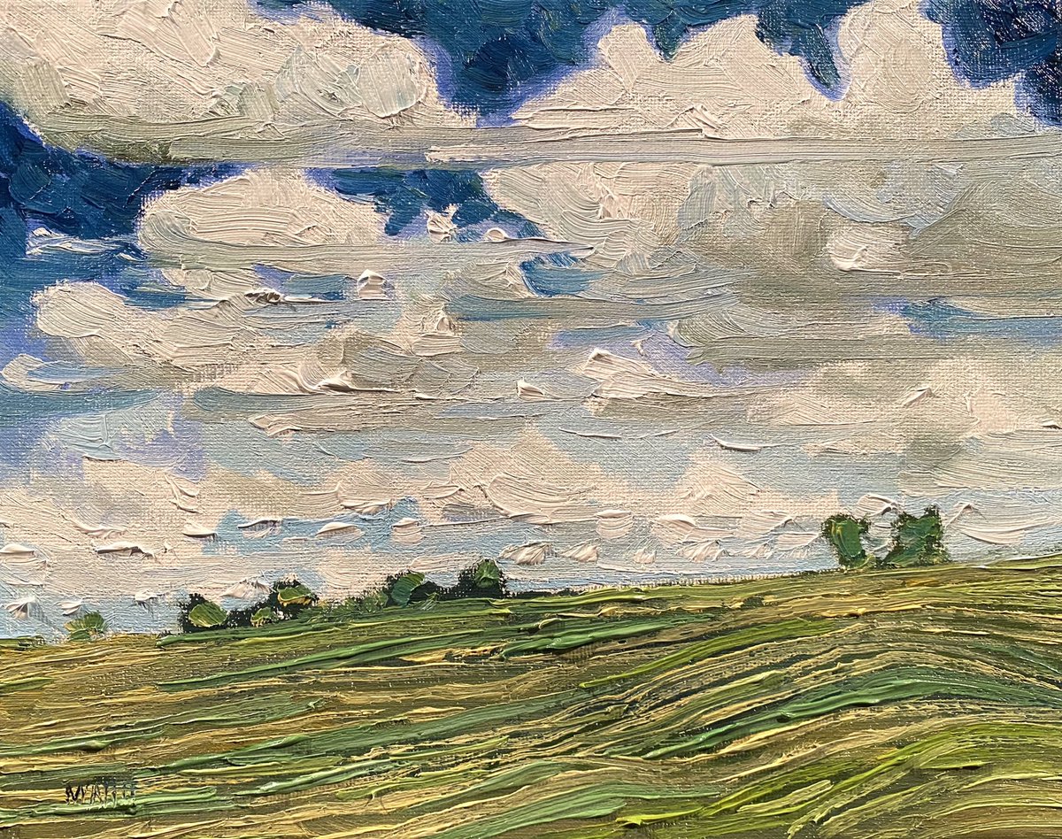 Most mornings, not all, but most mornings I  escape my environment and head out where nature lives. The kind of nature that reminds me that the world is a wonderful place. 
Morning clouds 
8”x10” oil on canvas 
437.00 unframed 
Currently Available