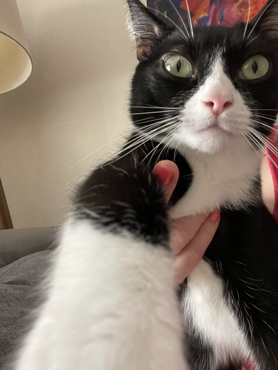 BasilTux's tweet photo. HEY YOU!

YEA YOU!

You deservfe Love ❤️ https://t.co/S9LhDwwKiw