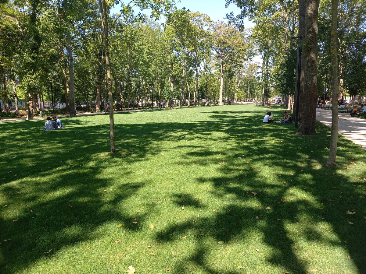 Het gras is dan toch effectief groener op een ander <a href="/VilledeReims/">Ville de Reims</a> 😃 #thuisstaathetros