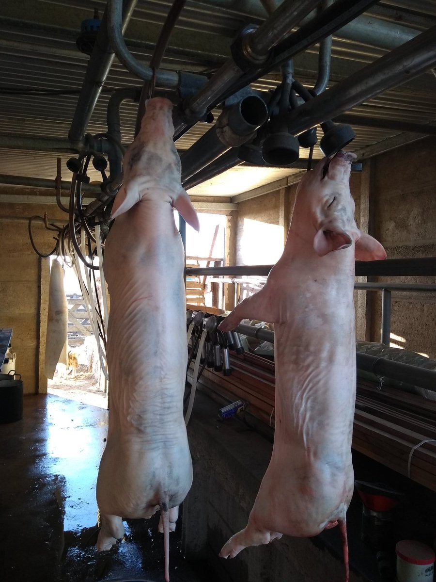 Tiemblan las parrillas!!!!