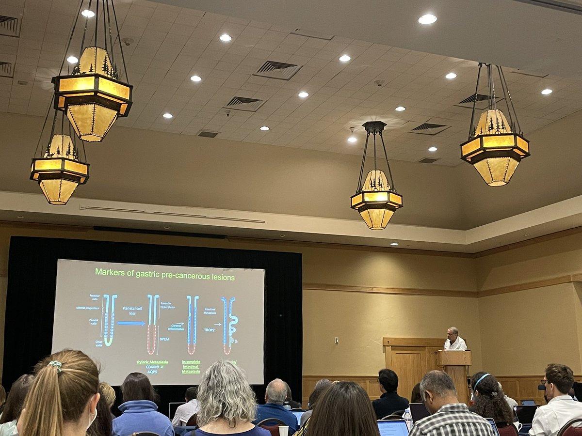 Stutikhadka1's tweet photo. I started with the anxiousness of flying solo at FASEBgut but so glad I joined this event. Wonderful to see this group of amazing fun loving GI scientists. Last day @ #GTSRC22. Learnt so much about the exciting science happening! Going with lots of motivation and memories. https://t.co/ZTJZfdzf7M