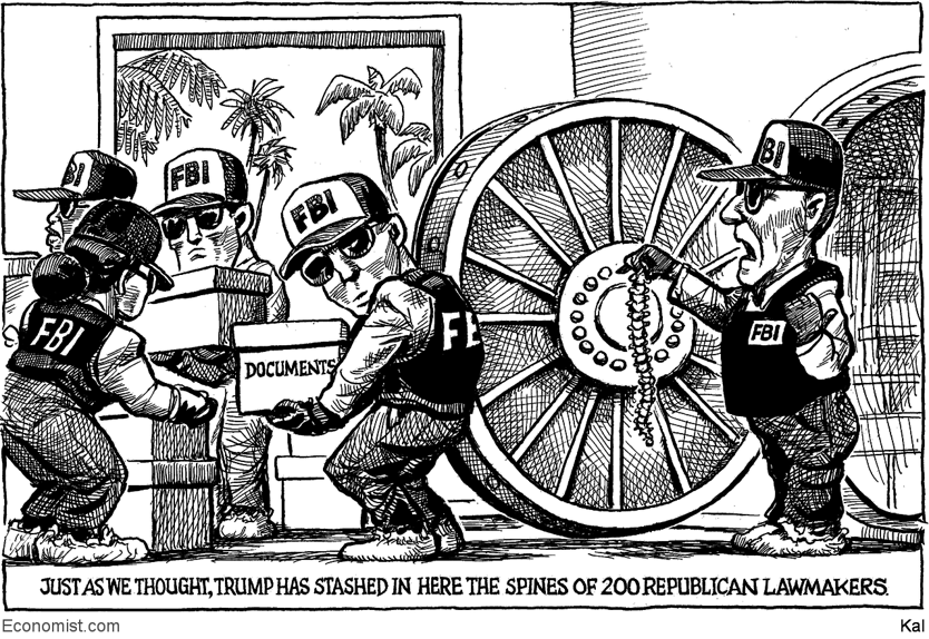 Young Democrat tweet media