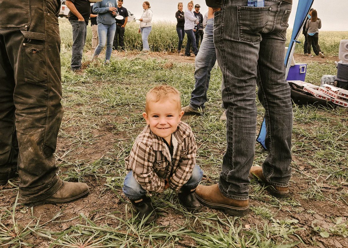 Cornerstone Seed tweet media