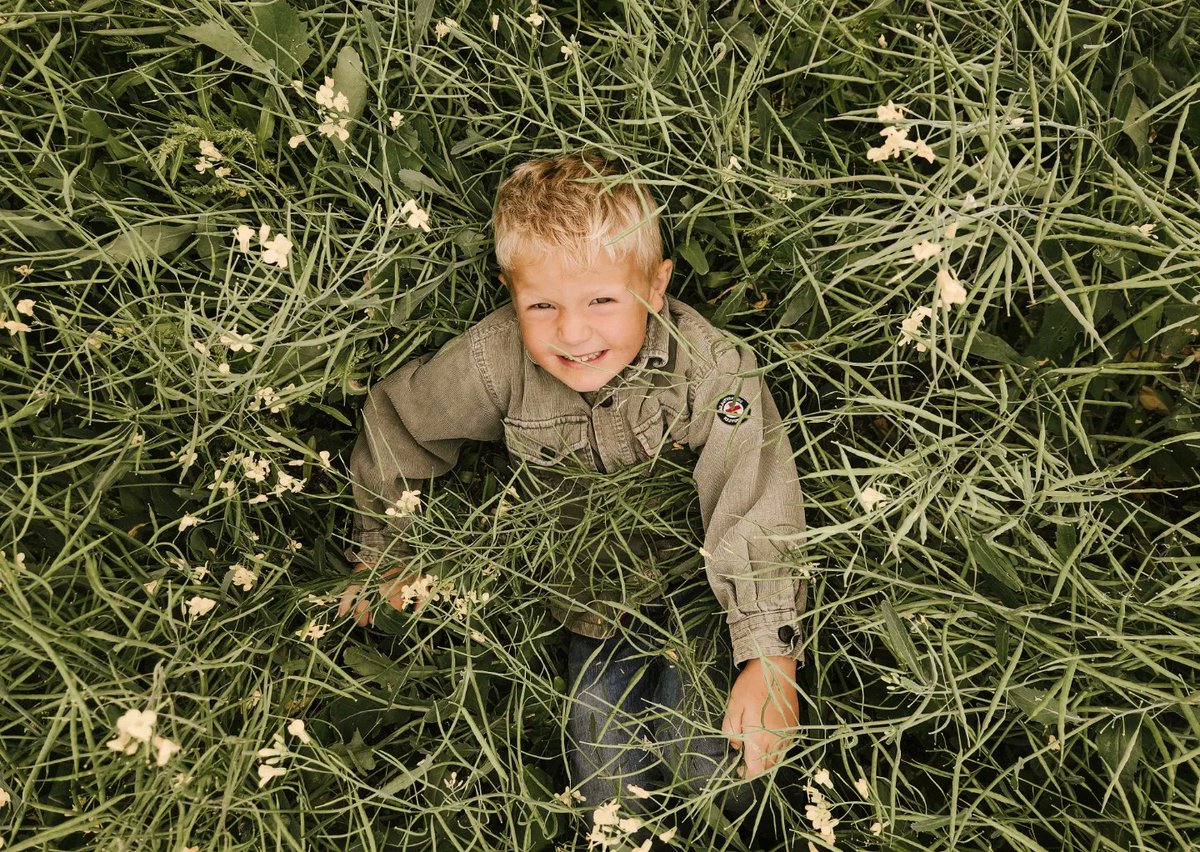 Cornerstone Seed tweet media