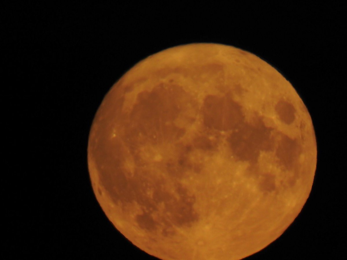 Nick Everitt tweet media