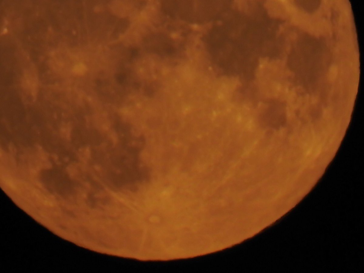 Nick Everitt tweet media