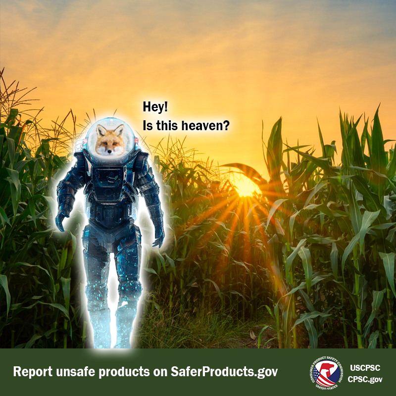 US Consumer Product Safety Commission on Twitter "Report unsafe