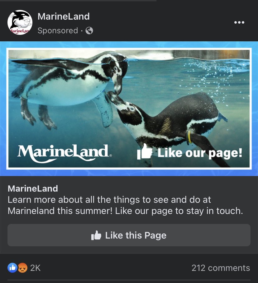 Fifth_Business's tweet photo. How is MarineLand still open? I saw a YouTuber go take a tour and it’s basically a lost-apocalyptic theme park at this point. Run down, broken rides, sparsley populated. Not to mention the acres of mass graves on the property #MarineLand https://t.co/PjcQtyibk8
