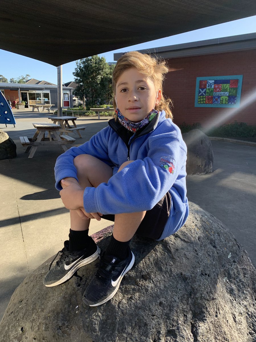 Stonefields School tweet media