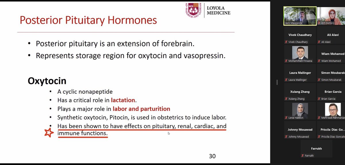 Today’s gem from <a href="/DocMaggiore/">Dr Jack Maggiore</a> ‘s lecture; oxytocin also has effects on renal, cardiac and immune functions. So, go hug your loved ones. Keep them -and yourselves- healthy!
#PathElective #TwitterHomework <a href="/loyolapathology/">Loyola Pathology & Laboratory Medicine</a>