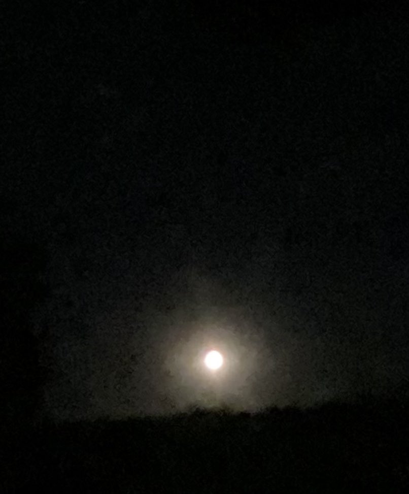 Tomlovestorun1's tweet photo. Just sat outside with @Julieyapp2 enjoying the full moon. Started talking about space facts and light years, and got told #InsideVoice #SharingIsLearning https://t.co/sITOjfikpN