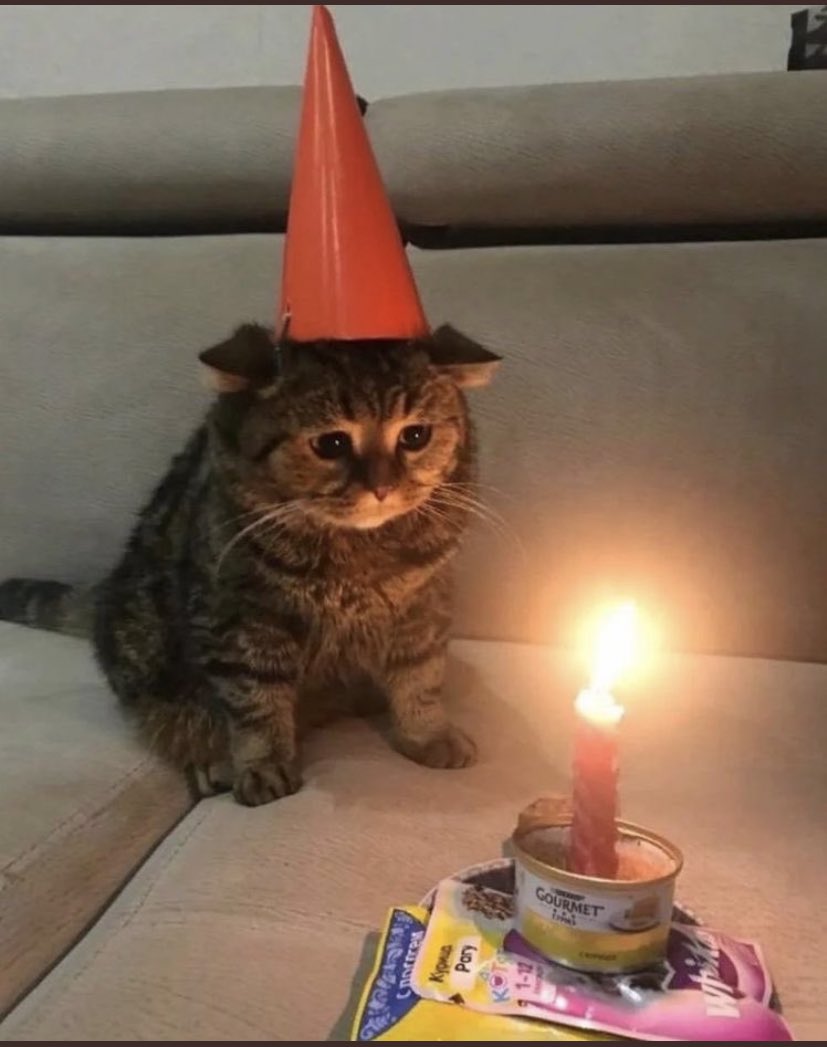 Plexitone's tweet image. Officially 25