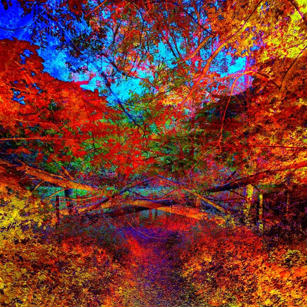 🌜Good night my lovely souls, sleep well and we see us tomorrow again!💫

I listed today the wonderful piece  "They will burn"
as a secondary from the famous <a href="/bright_lightart/">E L L A</a>! $ETH 0.1 1/1 Edition
Link below👇