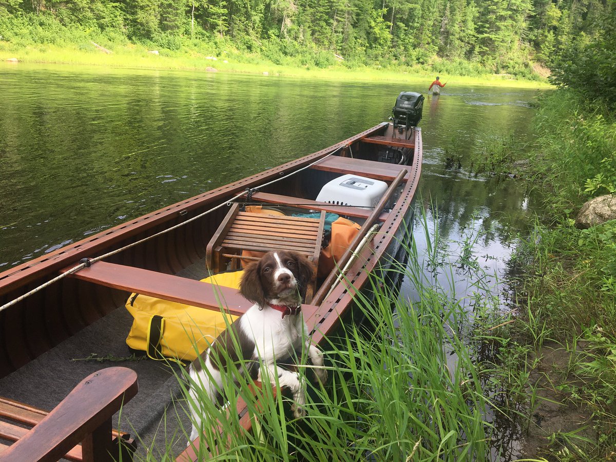 Jason Curtis tweet media