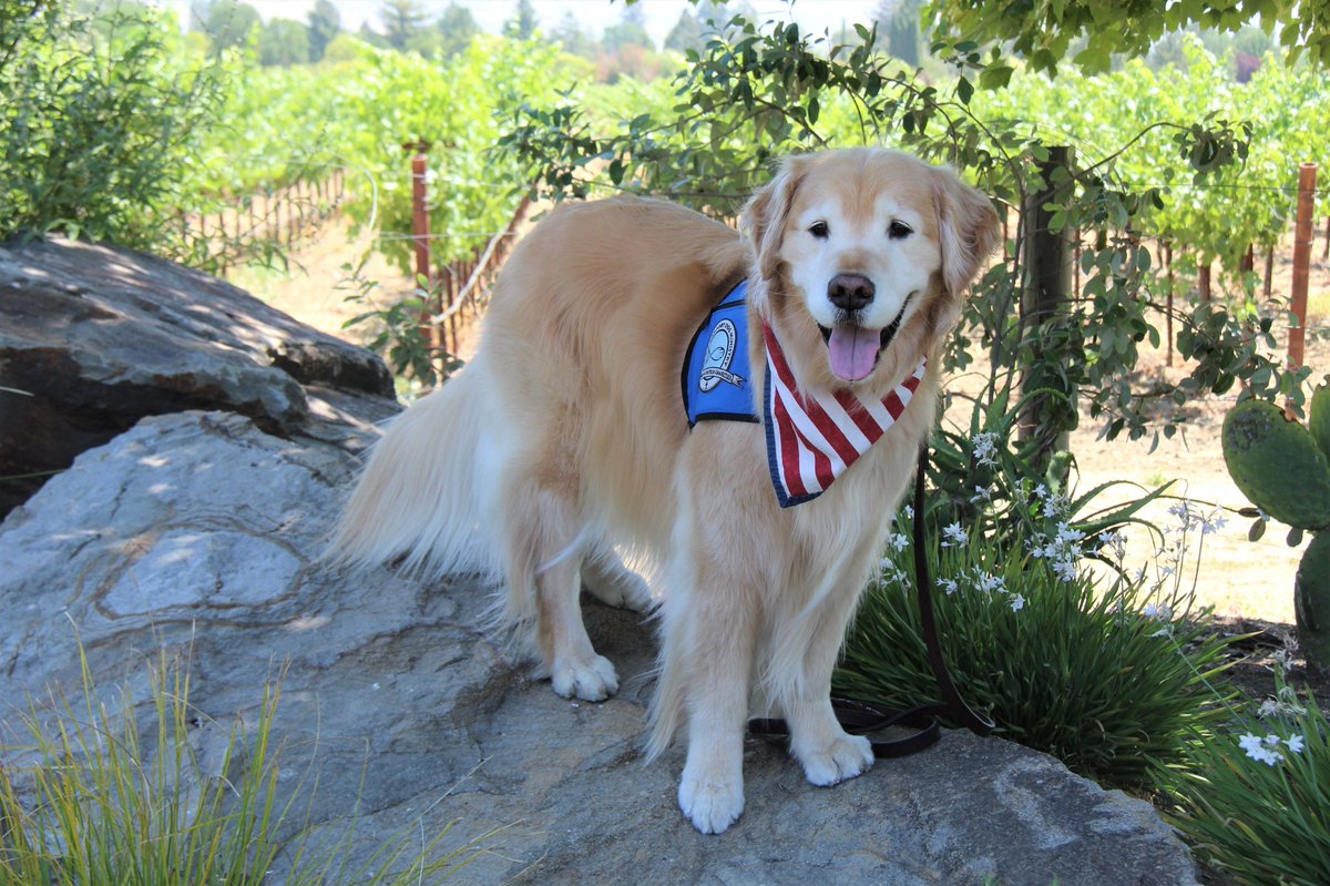 How it started ➡️ how it’s going 😁🐾