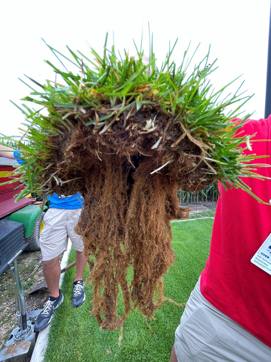 Mountain View Seeds tweet media